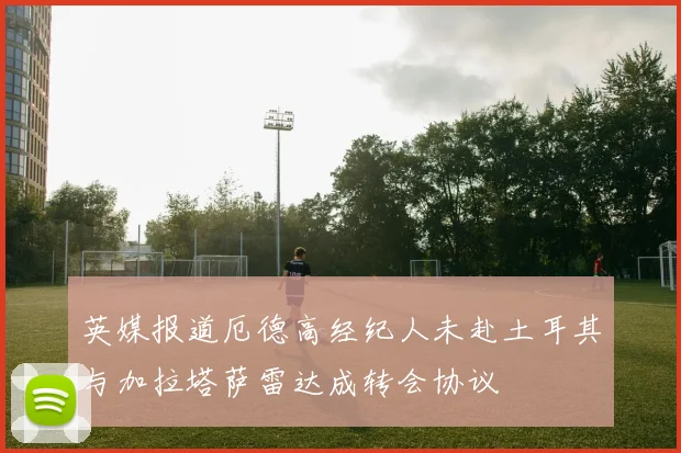 英媒报道厄德高经纪人未赴土耳其与加拉塔萨雷达成转会协议
