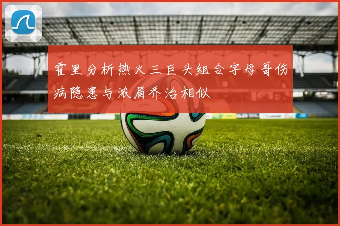 霍里分析热火三巨头组合字母哥伤病隐患与浓眉乔治相似