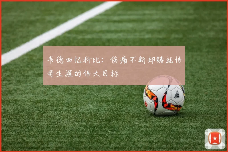 韦德回忆科比：伤痛不断却铸就传奇生涯的伟大目标