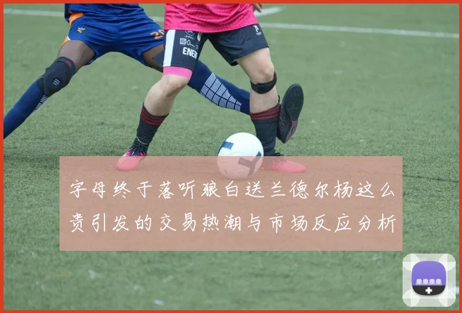 字母终于落听狼白送兰德尔杨这么贵引发的交易热潮与市场反应分析
